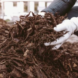 Natural Mulch