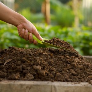 Garden soil