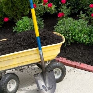 Color-Enhanced Black Mulch