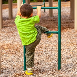 Certified Playground Mulch