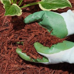 Color-Enhanced Red Mulch