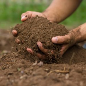 Topsoil
