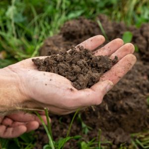 Topsoil Plus