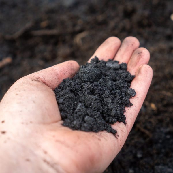 SuperCHAR Compost