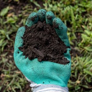 SuperCHAR Compost